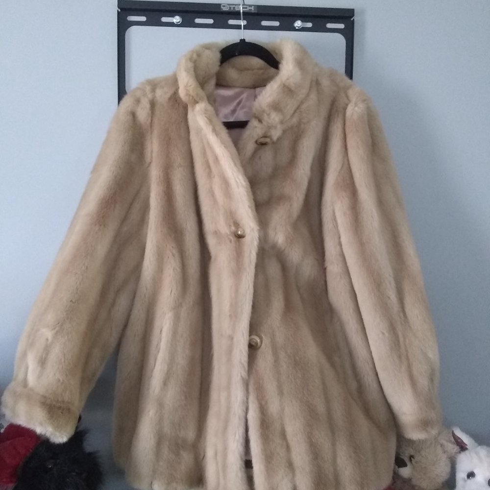 Coat - Picture 3 of 4